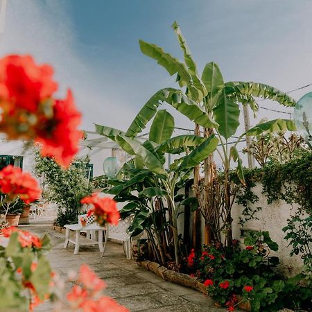 גאליפולי Masseria Agriturismo Il Sorriso Degli Ulivi - Dimora Di Charme מראה חיצוני תמונה