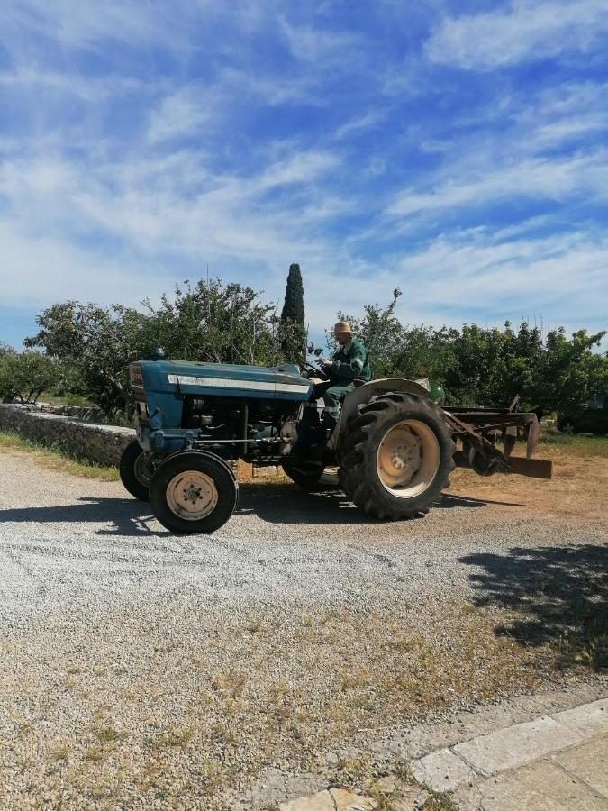גאליפולי Masseria Agriturismo Il Sorriso Degli Ulivi - Dimora Di Charme מראה חיצוני תמונה