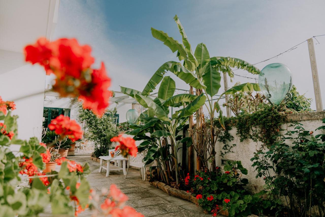 גאליפולי Masseria Agriturismo Il Sorriso Degli Ulivi - Dimora Di Charme מראה חיצוני תמונה