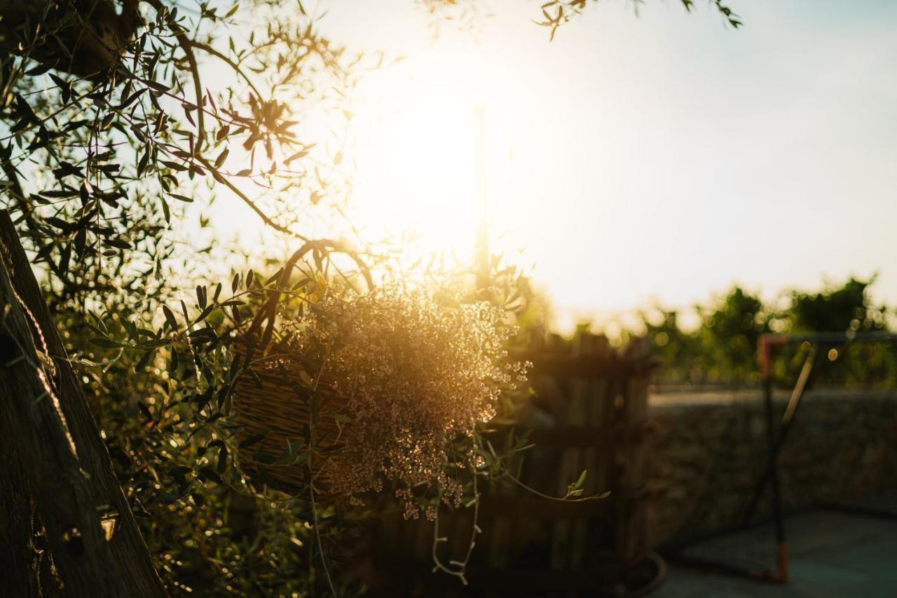 גאליפולי Masseria Agriturismo Il Sorriso Degli Ulivi - Dimora Di Charme מראה חיצוני תמונה