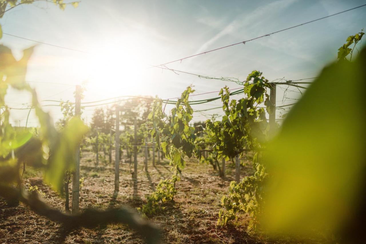 גאליפולי Masseria Agriturismo Il Sorriso Degli Ulivi - Dimora Di Charme מראה חיצוני תמונה